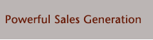 Powerful Sales Generation